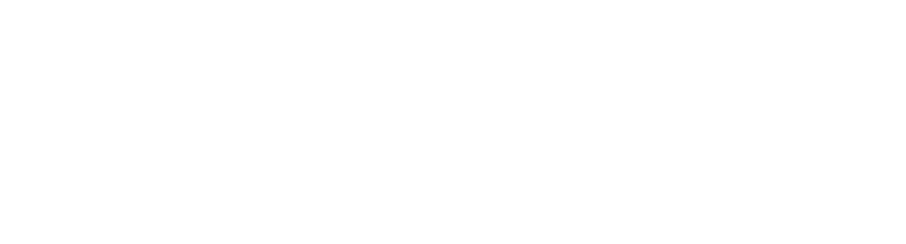 Boat Lifts International Logo